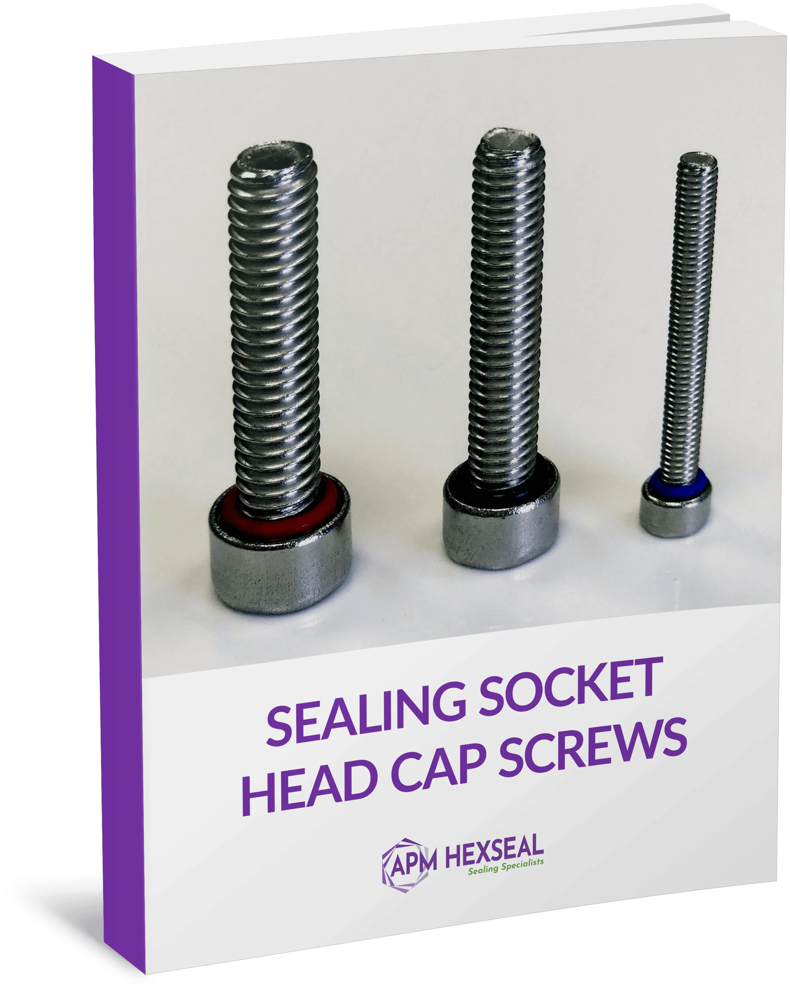 Sealing Socket Head Cap Screws